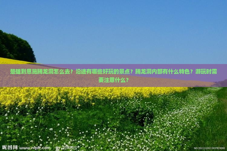 楚雄到恩施腾龙洞哪里玩