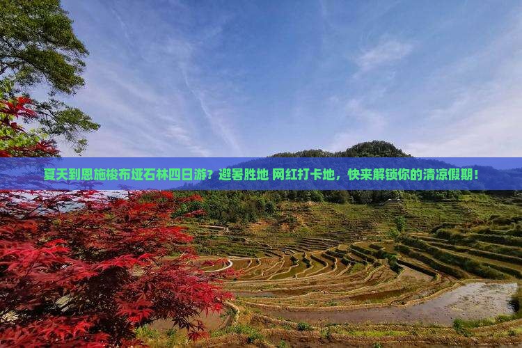 夏天到恩施梭布垭石林四日游