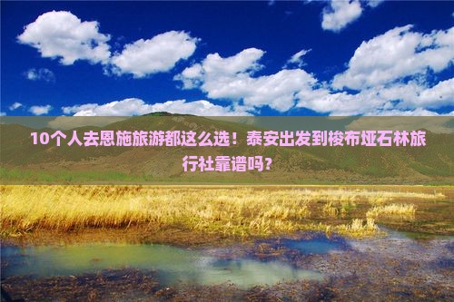 泰安去恩施梭布垭石林旅行社