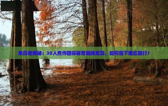 焦作到恩施腾龙洞大型旅游团