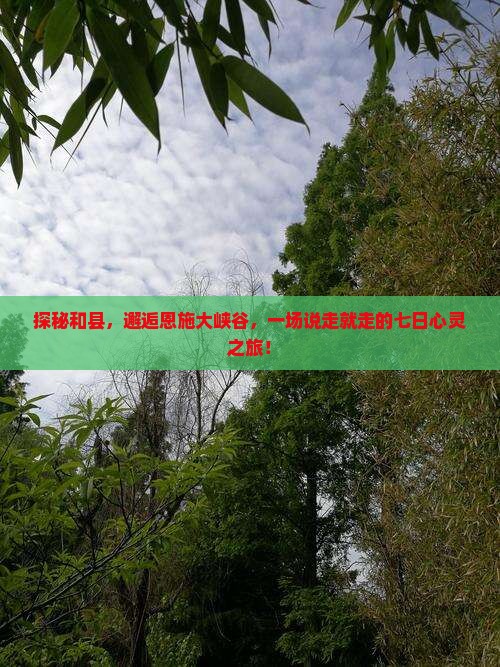 和县到恩施大峡谷七日游