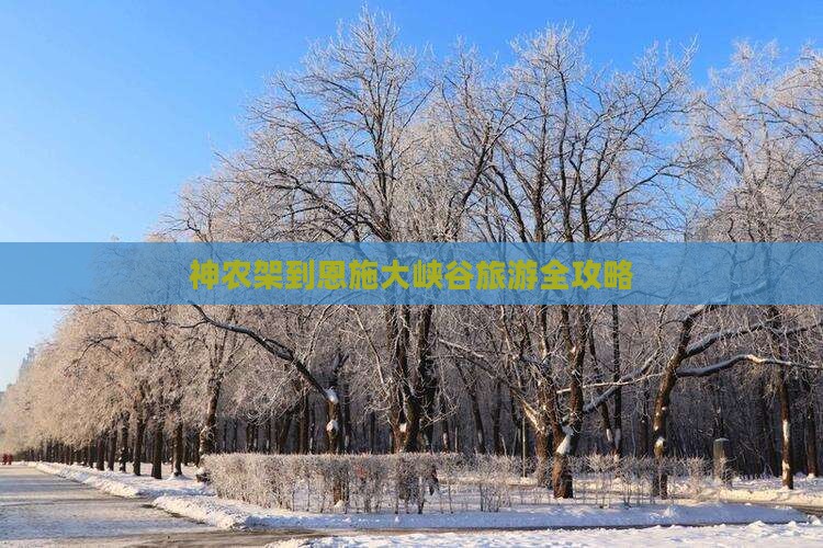 神农架去恩施大峡谷攻略
