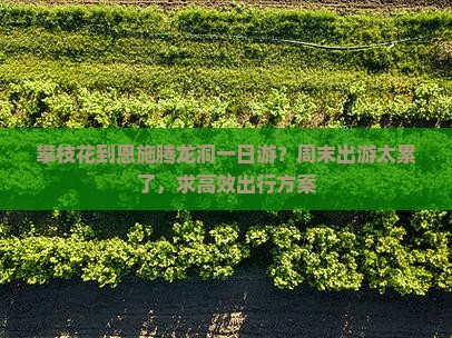 攀枝花去恩施腾龙洞一日
