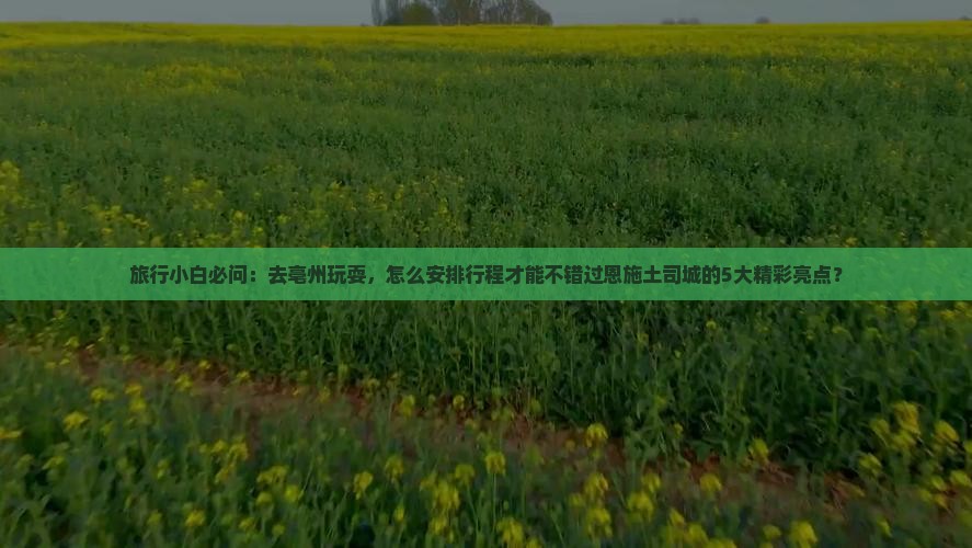亳州去恩施土司城必去地