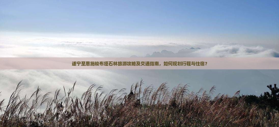 遂宁到恩施梭布垭石林旅游