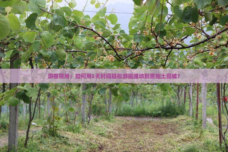 潍坊到恩施土司城攻略
