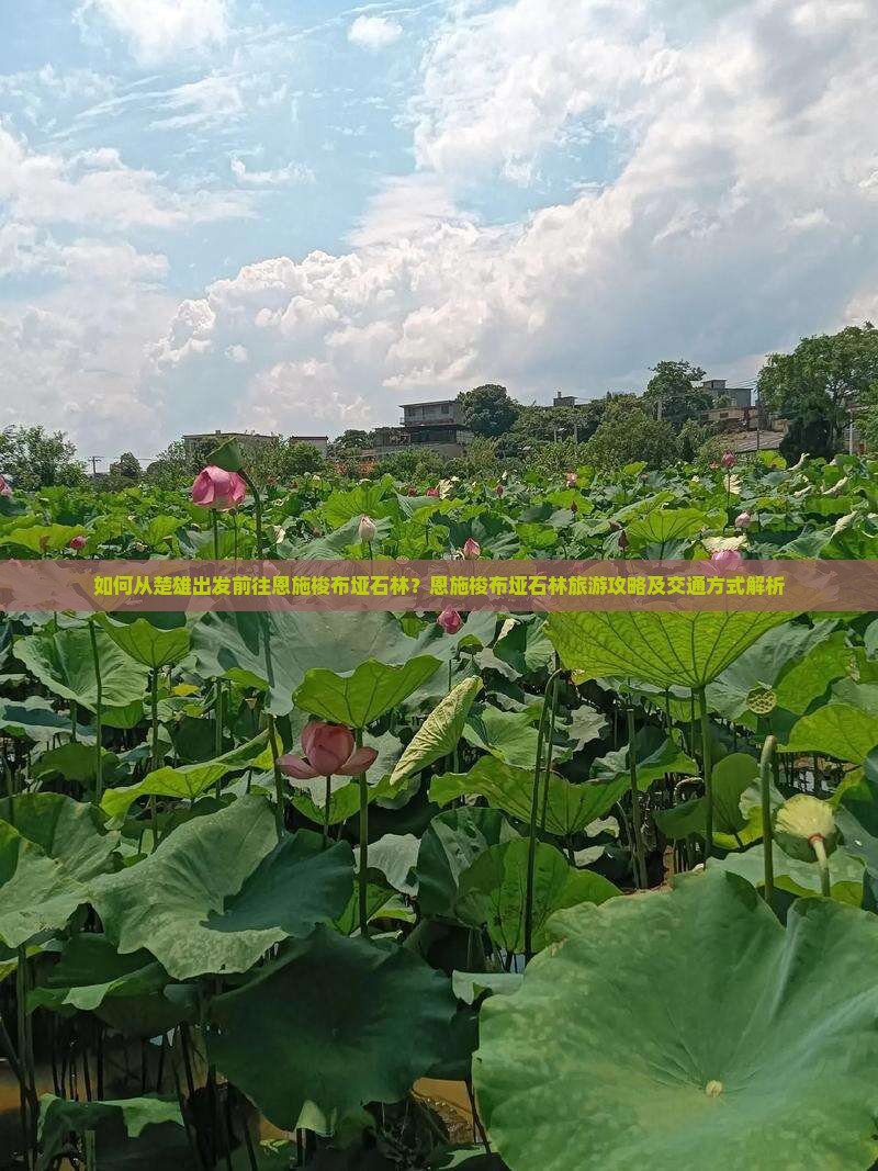 楚雄去恩施梭布垭石林旅游
