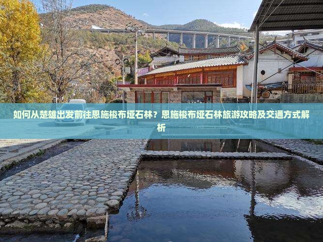 楚雄去恩施梭布垭石林旅游