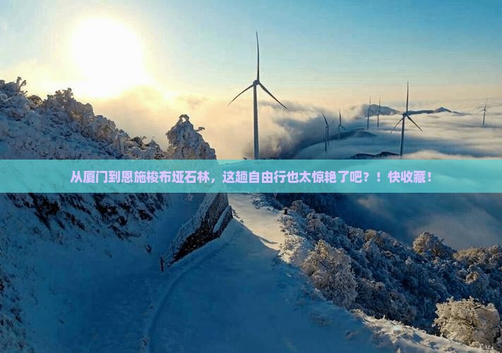 厦门去恩施梭布垭石林自由行