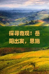 岳阳到恩施梭布垭石林三日游