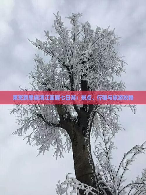莱芜到恩施清江画廊七日游