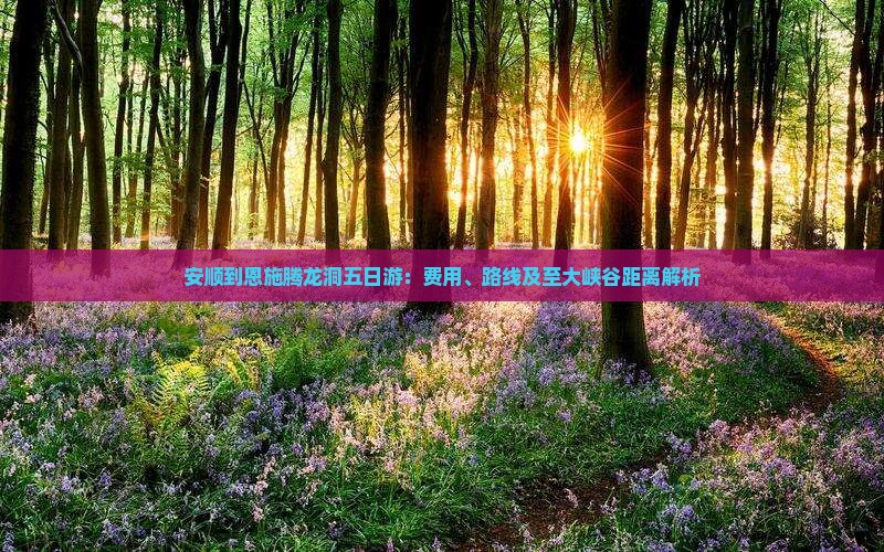 安顺到恩施腾龙洞五日游