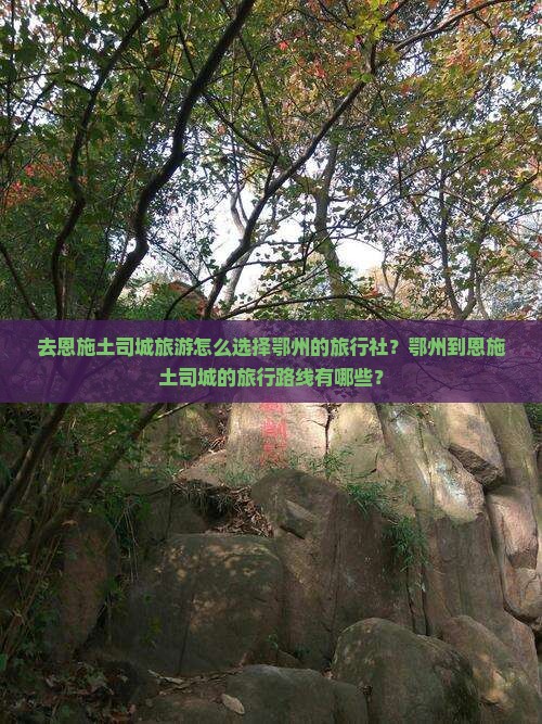 鄂州去恩施土司城旅行社