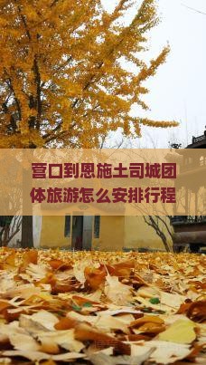 营口到恩施土司城团体旅游