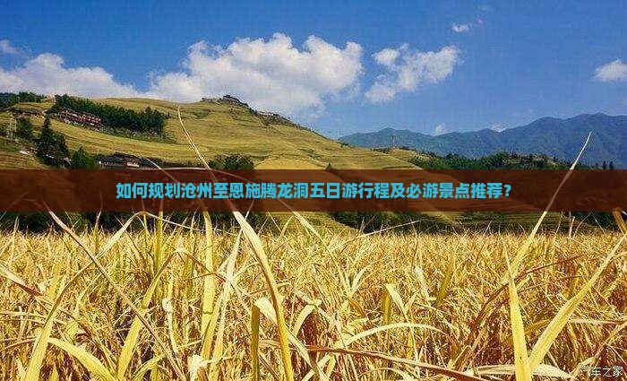 沧州去恩施腾龙洞五日游