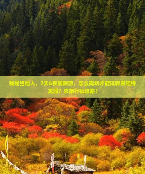 铜陵到恩施腾龙洞旅行社
