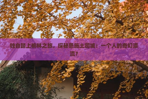 榆林到恩施土司城个人游