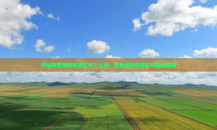 伊犁到恩施梭布垭石林个人游