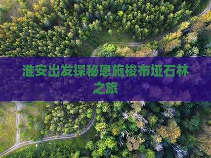 淮安去恩施梭布垭石林旅游