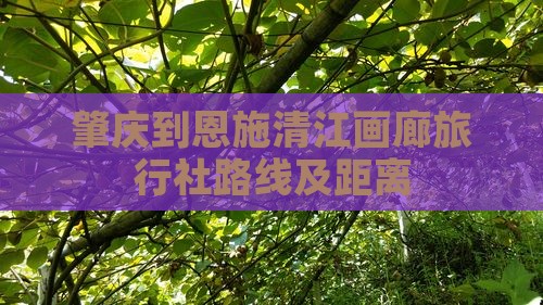 肇庆到恩施清江画廊旅行社
