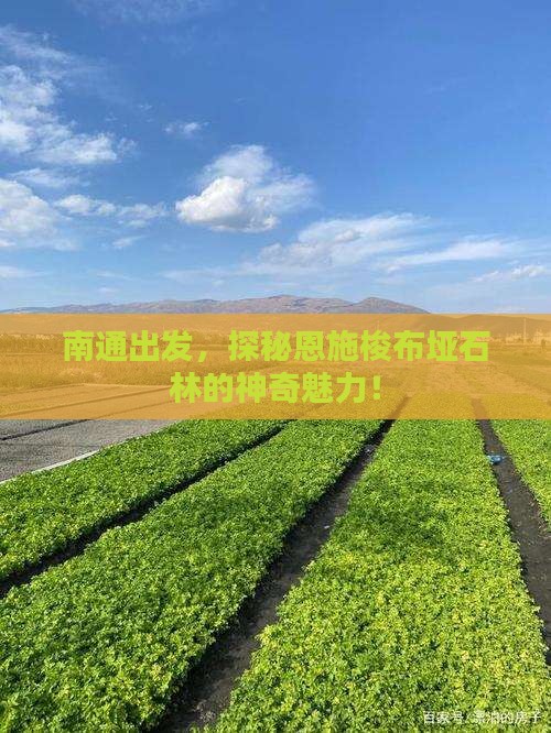 南通去恩施梭布垭石林旅游