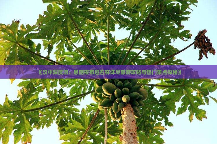 汉中去恩施梭布垭石林六日游