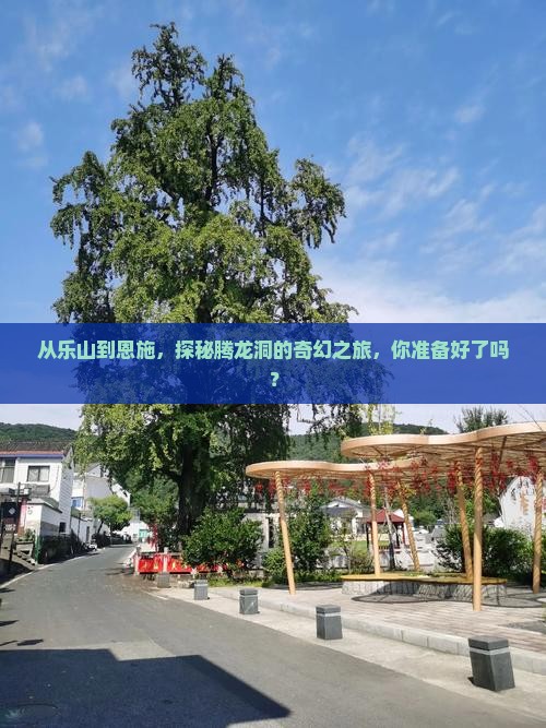 乐山到恩施腾龙洞自由行