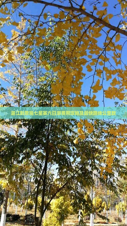 湛江到恩施七星寨六日游