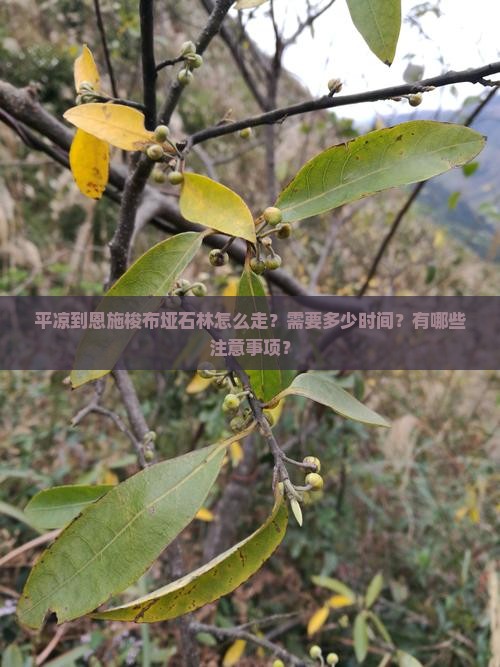 平凉到恩施梭布垭石林攻略 平凉到恩施梭布垭石林攻略