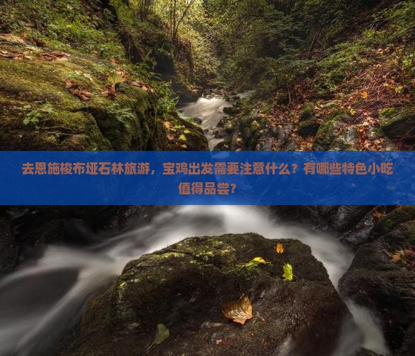 宝鸡去恩施梭布垭石林旅游小吃