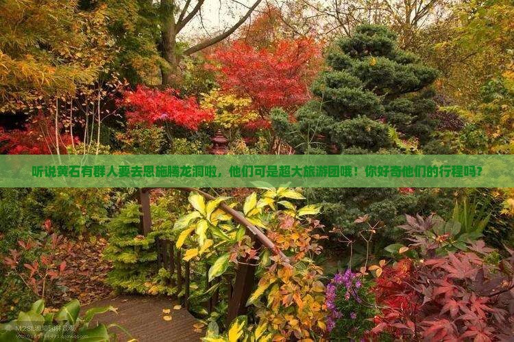 黄石去恩施腾龙洞大型旅游团
