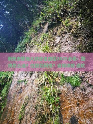 南充去恩施大峡谷自由团