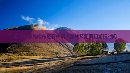 菏泽去恩施梭布垭石林景点