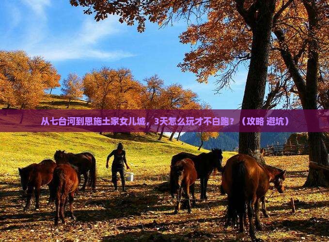 七台河去恩施土家女儿城哪里玩