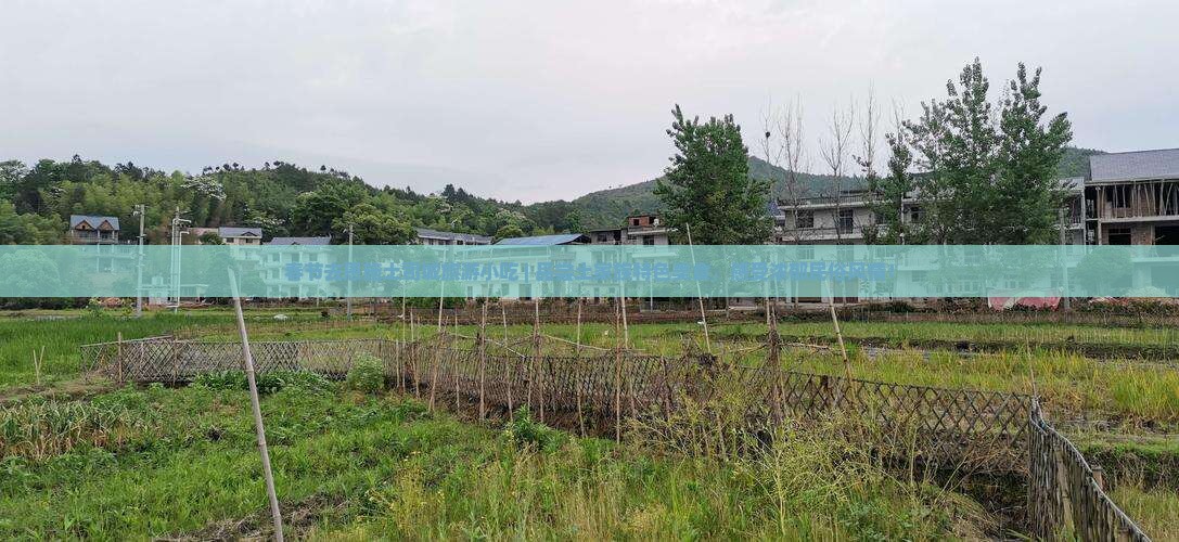 春节去恩施土司城旅游小吃