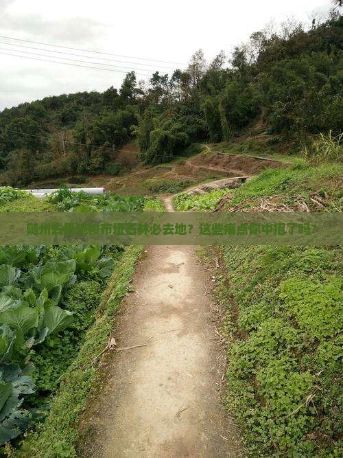 随州去恩施梭布垭石林必去地