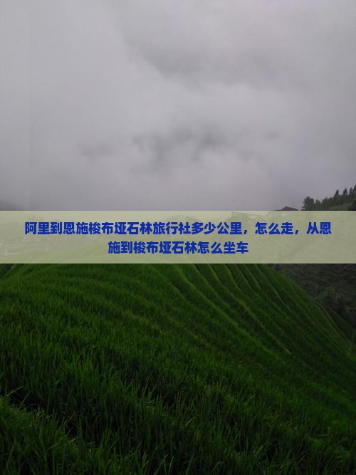 阿里到恩施梭布垭石林旅行社