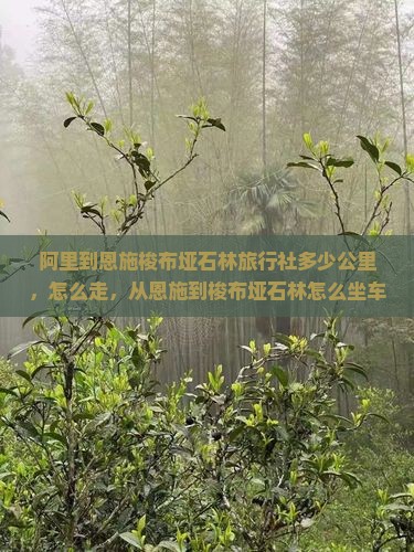 阿里到恩施梭布垭石林旅行社