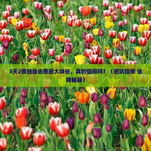 攀枝花去恩施大峡谷个人游