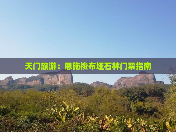 天门去恩施梭布垭石林门票