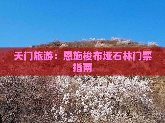 天门去恩施梭布垭石林门票