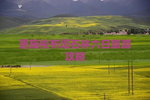 石嘴山到恩施梭布垭石林六日游