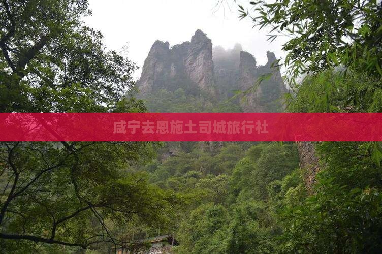 咸宁去恩施土司城旅行社