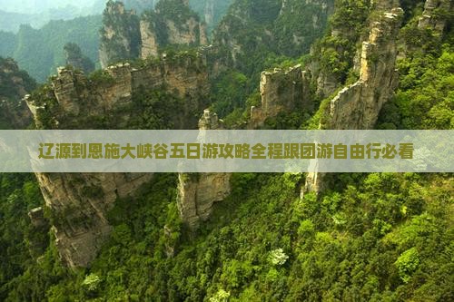 辽源到恩施大峡谷五日游