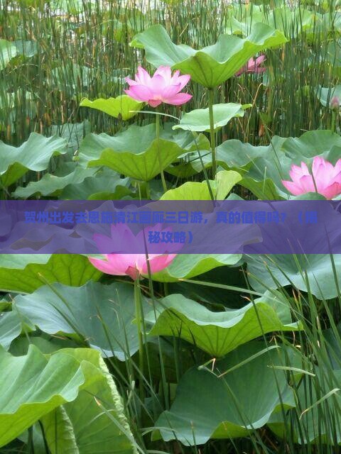 贺州去恩施清江画廊三日游
