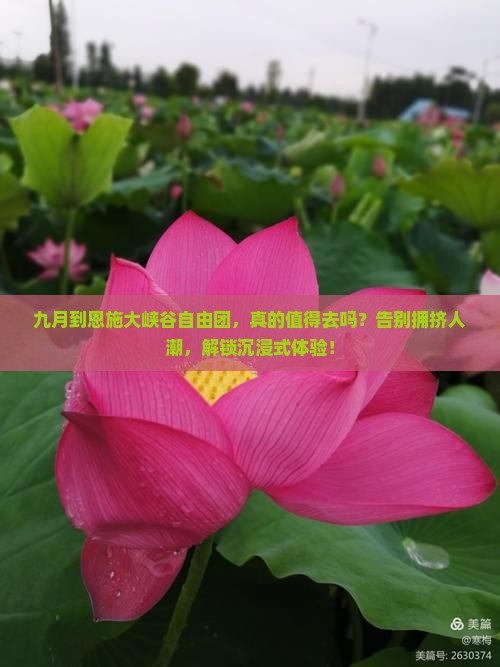 九月到恩施大峡谷自由团