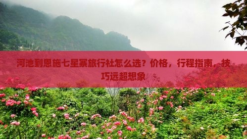 河池到恩施七星寨旅行社