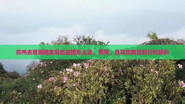 苏州去恩施腾龙洞自由团