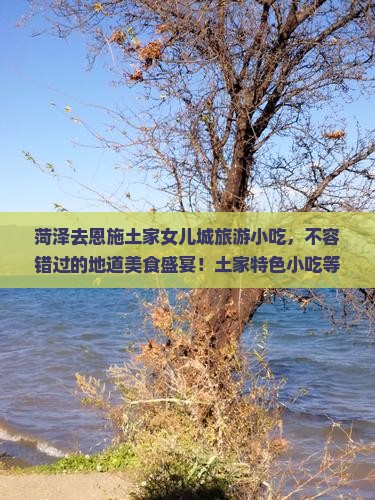 菏泽去恩施土家女儿城旅游小吃