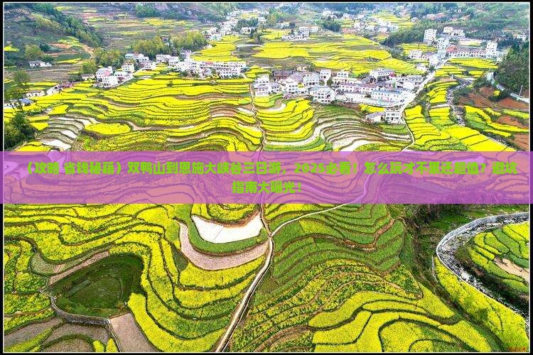 双鸭山到恩施大峡谷三日游